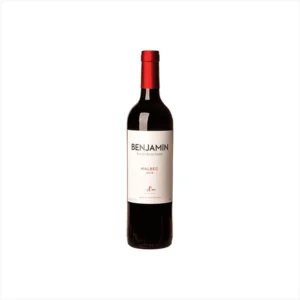 BENJAMIN NIETO MALBEC 6X750ML