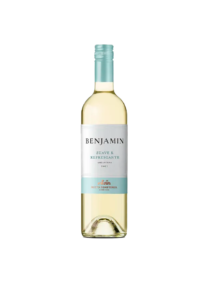 VINHO SELEÇÃO BENJAMIN 700ML