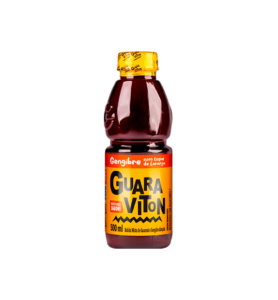 GUARAVITON GENGIBRE/LARANJA 12X500ML