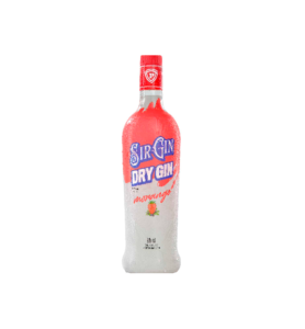 GIN SIRGIN MORANGO 6X900ML